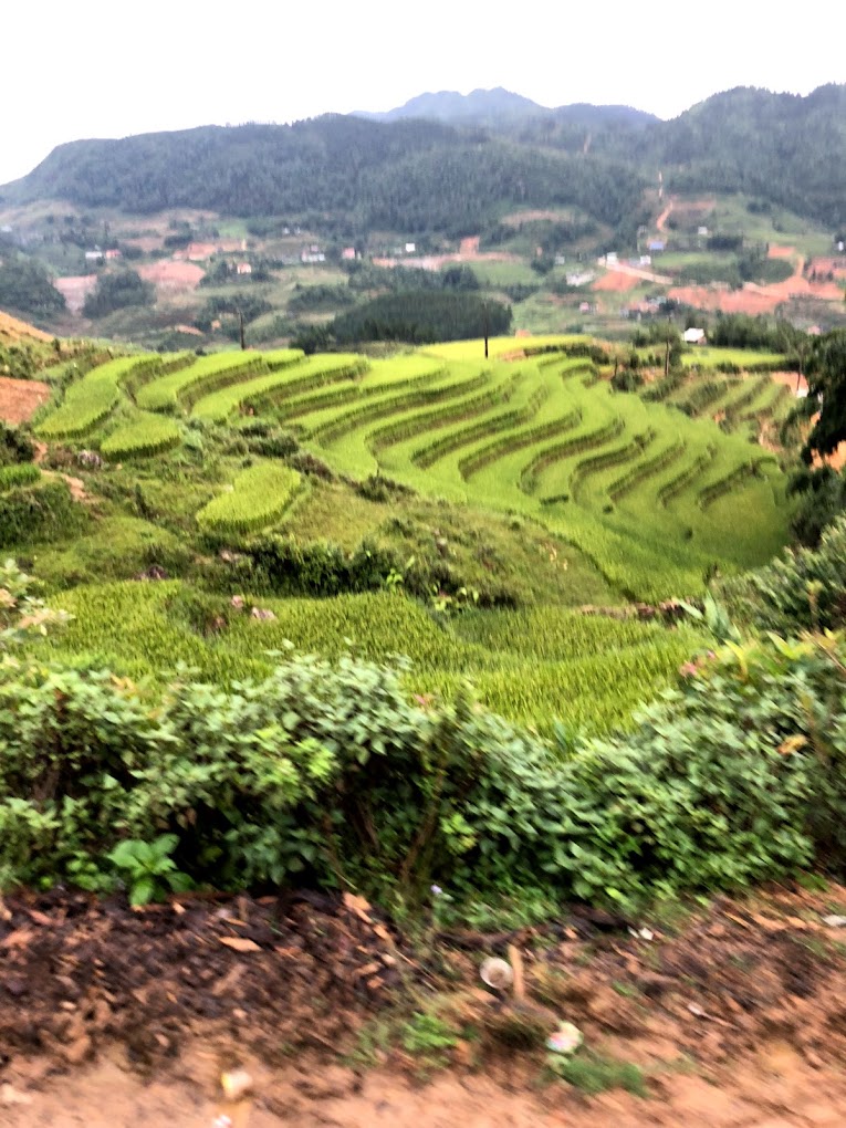 Cycling Through Mù Cang Chải: A Rice Terrace Adventure with Golden Cycling Tours